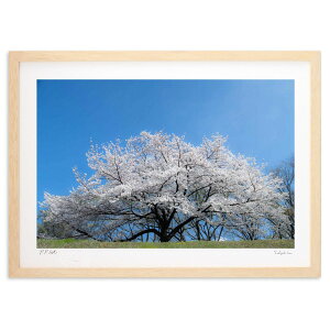 yX[p[SALEzzŉ c炭 (쌛)CeA Ǌ| z i |X^[ A[g rO ւɏ  v[g _ A[gt[