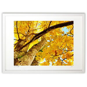 ŉ Photo wȞyɂāx (Pen.)