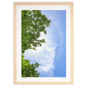 yX[p[SALEzzŉ nƓVg̉_ (nonpa168)CeA Ǌ| z i |X^[ A[g rO ւɏ  v[g _ A[gt[