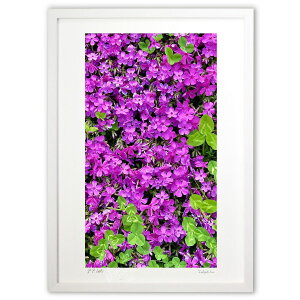 ŉ ōƎOt̃N[o[ (mitan)CeA Ǌ| z i |X^[ A[g rO ւɏ  v[g _ A[gt[