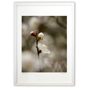 ŉ ~̉ (Agura)CeA Ǌ| z i |X^[ A[g rO ւɏ  v[g _ A[gt[