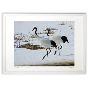 ŉ ^`E (RUI)CeA Ǌ| z i |X^[ A[g rO ւɏ  v[g _ A[gt[