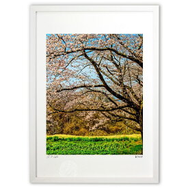 【スーパーSALE半額】版画 陽春 (白ウサギ)インテリア 壁掛け 額入り 風景画 ポスター アート リビング 玄関に飾る 風水 プレゼント モダン アートフレーム