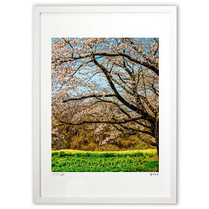 �ŉ� �z�t (���E�T�M)�C���e���A �Ǌ|�� �z���� ���i�� �|�X�^�[ �A�[�g ���r���O ���ւɏ��� ���� �v���[���g ���_�� �A�[�g�t���[��