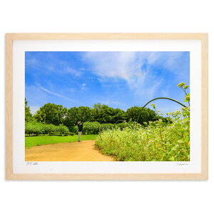 yX[p[SALEzzŉ F̗_ƂȂ4@Rainbow Dragon God (nonpa168)