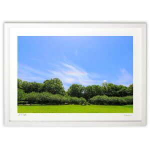 yX[p[SALEzzŉ F̗_@Rainbow Dragon God (nonpa168)