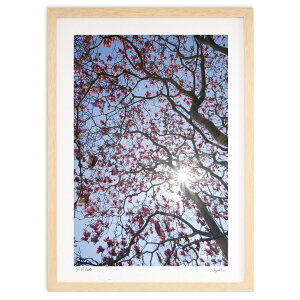 yX[p[SALEzzŉ tؘ̖@ (h)CeA Ǌ| z i |X^[ A[g rO ւɏ  v[g _ A[gt[