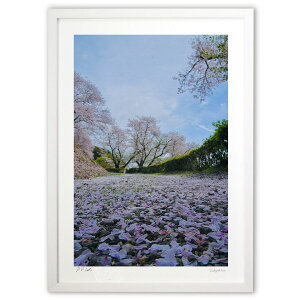 yX[p[SALEzzŉ U (mitan)CeA Ǌ| z i |X^[ A[g rO ւɏ  v[g _ A[gt[