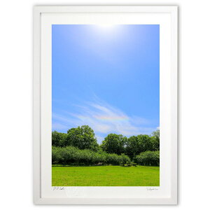 yX[p[SALEzzŉ F̗_@Rainbow Dragon God (nonpa168)