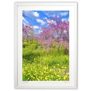 ŉ ؂̉ԂƂ (mitan)CeA Ǌ| z i |X^[ A[g rO ւɏ  v[g _ A[gt[