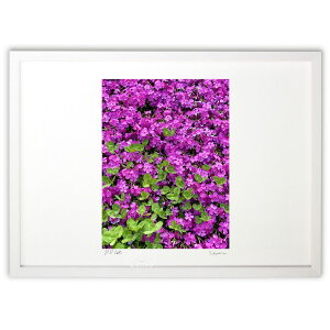 yX[p[SALEzzŉ ōƎOt̃N[o[ (mitan)CeA Ǌ| z i |X^[ A[g rO ւɏ  v[g _ A[gt[