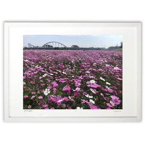 ŉ H̖K@ (halu)CeA Ǌ| z i |X^[ A[g rO ւɏ  v[g _ A[gt[