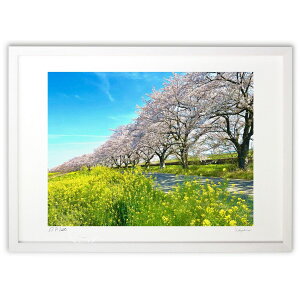 ŉ  (|{s)CeA Ǌ| z i |X^[ A[g rO ւɏ  v[g _ A[gt[