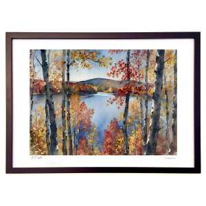 ŉ H̍̌ (feather)CeA Ǌ| z i |X^[ A[g rO ւɏ  v[g _ A[gt[