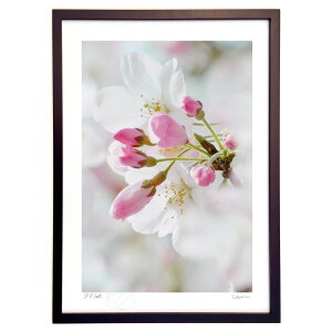 ŉ oԂ҂ (ʍ)CeA Ǌ| z i |X^[ A[g rO ւɏ  v[g _ A[gt[