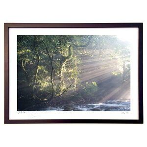 yX[p[SALEzzŉ ؂̊ (䐬M)CeA Ǌ| z i |X^[ A[g rO ւɏ  v[g _ A[gt[