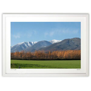 ŉ ΂ƍgtƊ ( )CeA Ǌ| z i |X^[ A[g rO ւɏ  v[g _ A[gt[