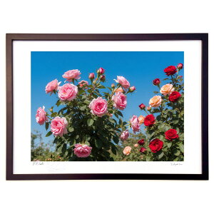 ŉ 뉀̃o (feather)CeA Ǌ| z i |X^[ A[g rO ւɏ  v[g _ A[gt[