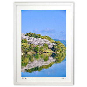 ŉ t̃tNV (mitan)CeA Ǌ| z i |X^[ A[g rO ւɏ  v[g _ A[gt[