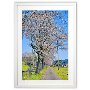 �ŉ� ���H�e�̂�������� (mitan)�C���e���A �Ǌ|�� �z���� ���i�� �|�X�^�[ �A�[�g ���r���O ���ւɏ��� ���� �v���[���g ���_�� �A�[�g�t���[��