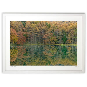 ŉ H (RML)CeA Ǌ| z i |X^[ A[g rO ւɏ  v[g _ A[gt[