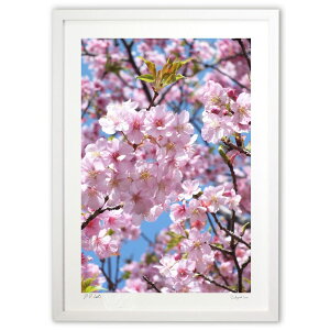 yX[p[SALEzzŉ ǂVCƍ̉ (w)CeA Ǌ| z i |X^[ A[g rO ւɏ  v[g _ A[gt[