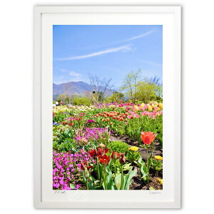 ŉ ̂Ԕ (mitan)CeA Ǌ| z i |X^[ A[g rO ւɏ  v[g _ A[gt[