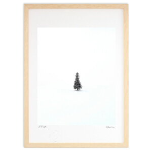 yX[p[SALEzzŉ Îɕ܂ꂽNX}Xc[̖ (gan.iwaiwa)