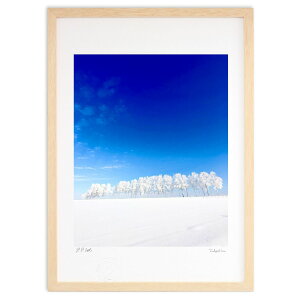 yX[p[SALEzzŉ X̔ (gan.iwaiwa)CeA Ǌ| z i |X^[ A[g rO ւɏ  v[g _ A[gt[