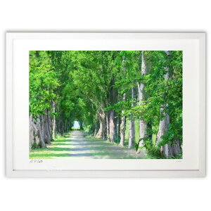 ŉ |v (AgG傤)CeA Ǌ| z i |X^[ A[g rO ւɏ  v[g _ A[gt[