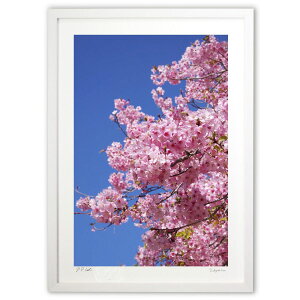 ŉ ƍ̉ (w)CeA Ǌ| z i |X^[ A[g rO ւɏ  v[g _ A[gt[