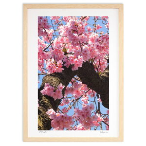 ŉ uzv (ʍ)CeA Ǌ| z i |X^[ A[g rO ւɏ  v[g _ A[gt[