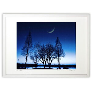 ŉ û₫ (Hiro)CeA Ǌ| z i |X^[ A[g rO ւɏ  v[g _ A[gt[