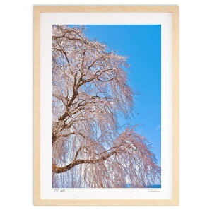 ŉ  (mitan)CeA Ǌ| z i |X^[ A[g rO ւɏ  v[g _ A[gt[