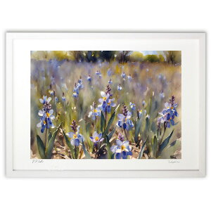 yX[p[SALEzzŉ  (feather)CeA Ǌ| z i |X^[ A[g rO ւɏ  v[g _ A[gt[