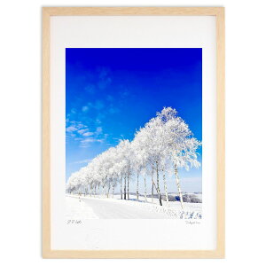 yX[p[SALEzzŉ X̔ (gan.iwaiwa)CeA Ǌ| z i |X^[ A[g rO ւɏ  v[g _ A[gt[