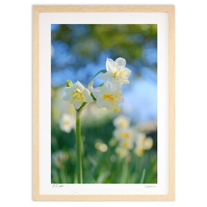 ŉ d炫{ (h)CeA Ǌ| z i |X^[ A[g rO ւɏ  v[g _ A[gt[