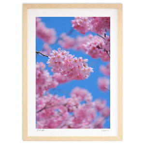 ŉ 劦Ɛ (h)CeA Ǌ| z i |X^[ A[g rO ւɏ  v[g _ A[gt[