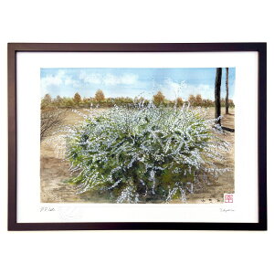 ŉ LiM (䂫)CeA Ǌ| z i |X^[ A[g rO ւɏ  v[g _ A[gt[