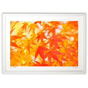 ŉ HF݂ (makorin oino)CeA Ǌ| z i |X^[ A[g rO ւɏ  v[g _ A[gt[