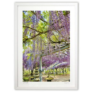 ŉ ꓡ (mitan)CeA Ǌ| z i |X^[ A[g rO ւɏ  v[g _ A[gt[