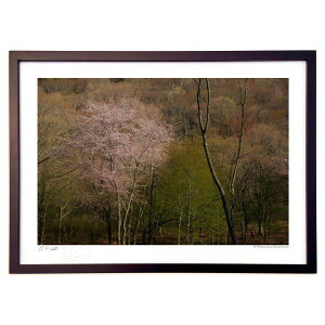 ŉ R߂W (ramble)CeA Ǌ| z i |X^[ A[g rO ւɏ  v[g _ A[gt[