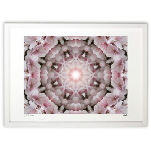 ŉ Azalea (ޓs)CeA Ǌ| z i |X^[ A[g rO ւɏ  v[g _ A[gt[