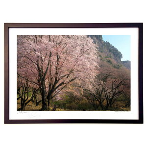 ŉ ̏t (ramble)CeA Ǌ| z i |X^[ A[g rO ւɏ  v[g _ A[gt[