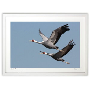 ŉ Fly (䐬M)CeA Ǌ| z i |X^[ A[g rO ւɏ  v[g _ A[gt[