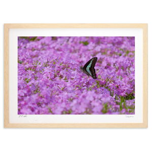 ŉ tɕ (h)CeA Ǌ| z i |X^[ A[g rO ւɏ  v[g _ A[gt[