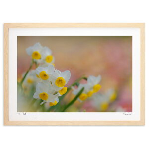 ŉ t̓{ (h)CeA Ǌ| z i |X^[ A[g rO ւɏ  v[g _ A[gt[