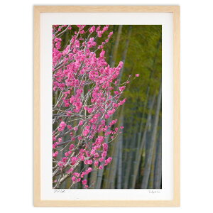 ŉ |т̍g~ (h)CeA Ǌ| z i |X^[ A[g rO ւɏ  v[g _ A[gt[