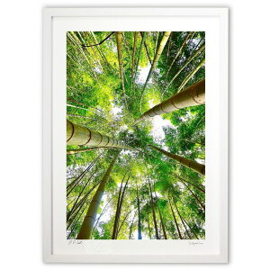 ŉ | (mitan)CeA Ǌ| z i |X^[ A[g rO ւɏ  v[g _ A[gt[