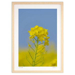 ŉ ؂̉ԂƐ (h)CeA Ǌ| z i |X^[ A[g rO ւɏ  v[g _ A[gt[